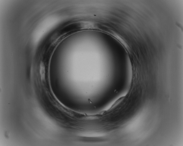 X0000097651151200803071503