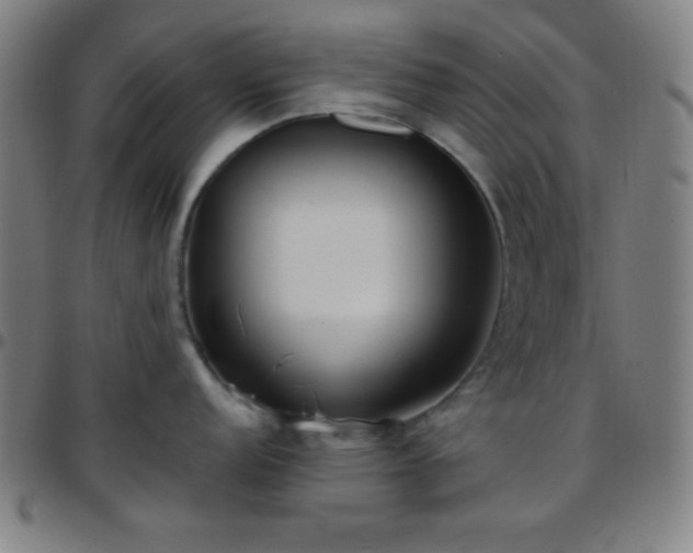 X0000097651152200803071503