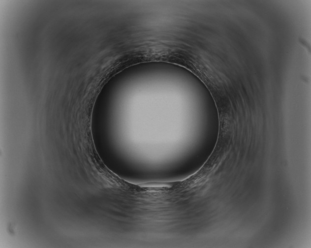 X0000097651153200803071503