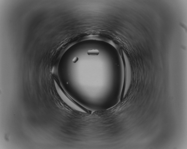 X0000097651154200803071503