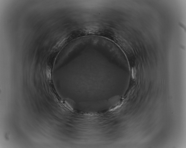 X0000097651155200803071503