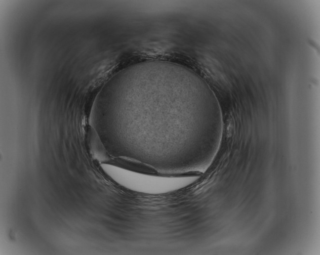 X0000097651156200803071503