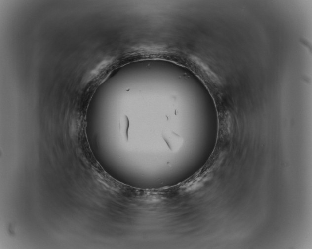 X0000097651157200803071503