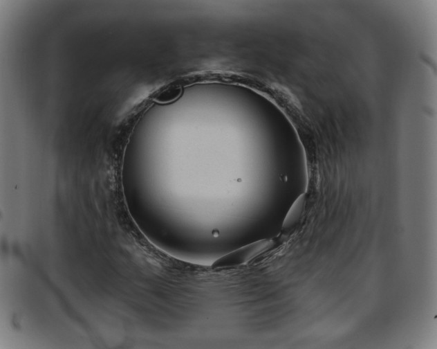 X0000097651159200803071502