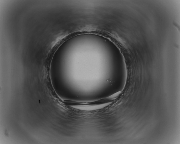 X0000097651160200803071502