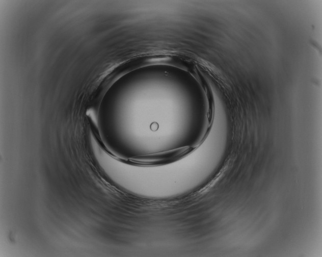 X0000097651161200803071502