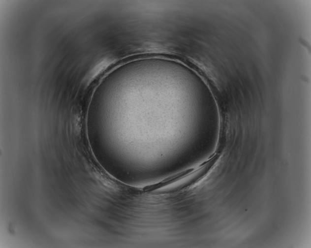 X0000097651163200803071502