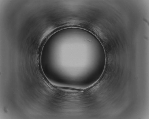 X0000097651164200803071502