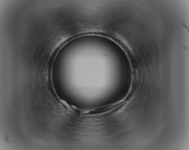 X0000097651165200803071502