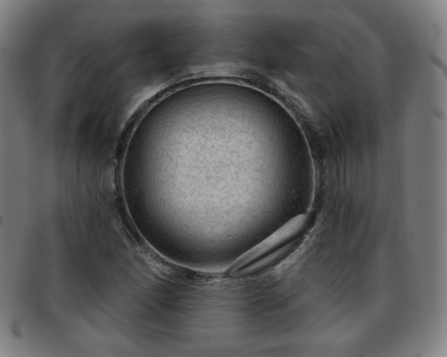 X0000097651166200803071502