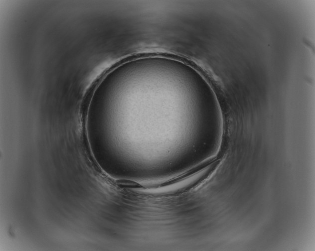 X0000097651167200803071502