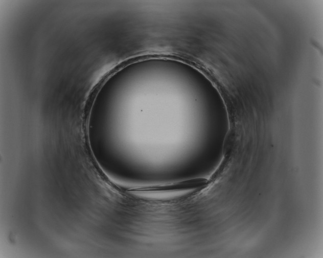 X0000097651168200803071502