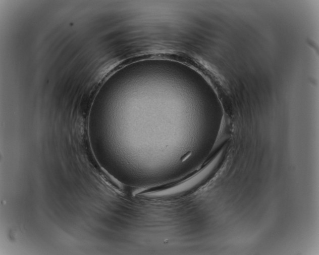 X0000097651169200803071502