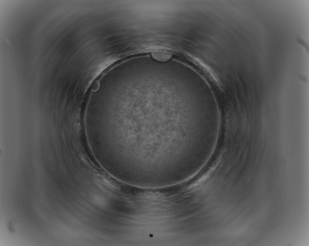 X0000097651170200803071502