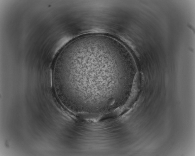 X0000097651171200803071502