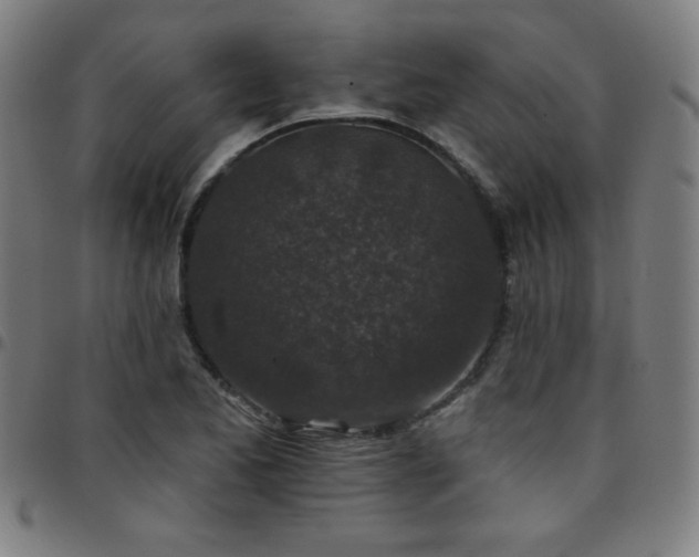 X0000097651173200803071502