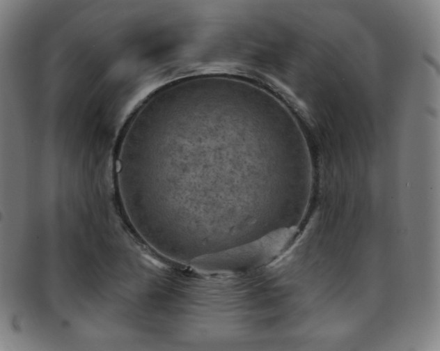 X0000097651174200803071502