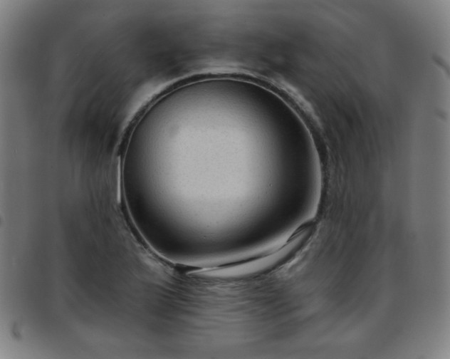 X0000097651175200803071502