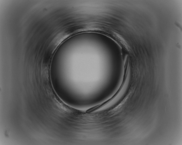 X0000097651177200803071502