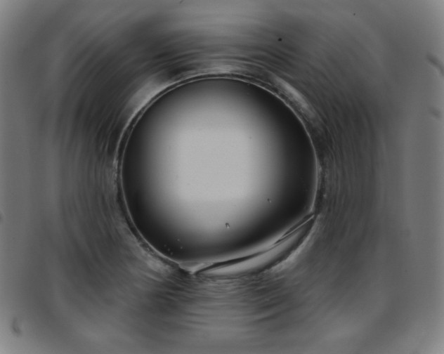 X0000097651178200803071502