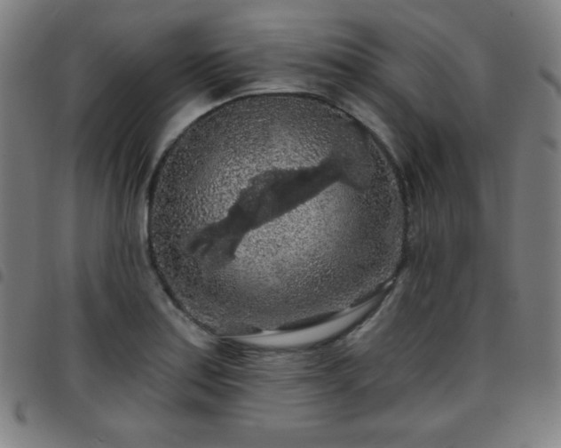 X0000097651179200803071502