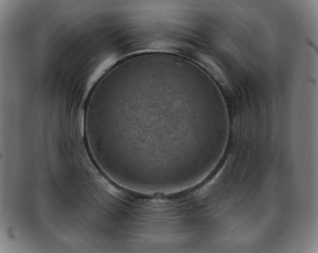 X0000097651180200803071502