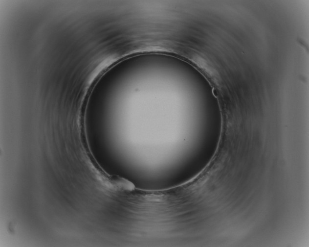 X0000097651181200803071502