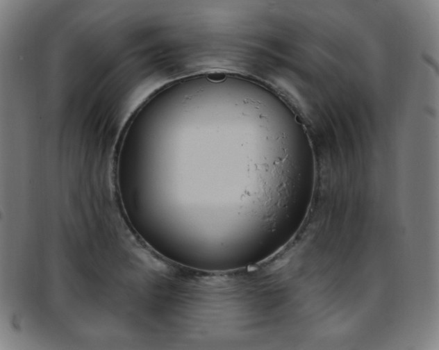 X0000097651182200803071502