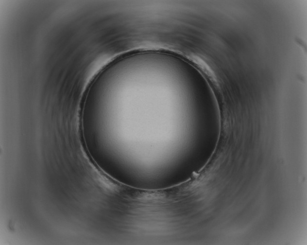 X0000097651183200803071502