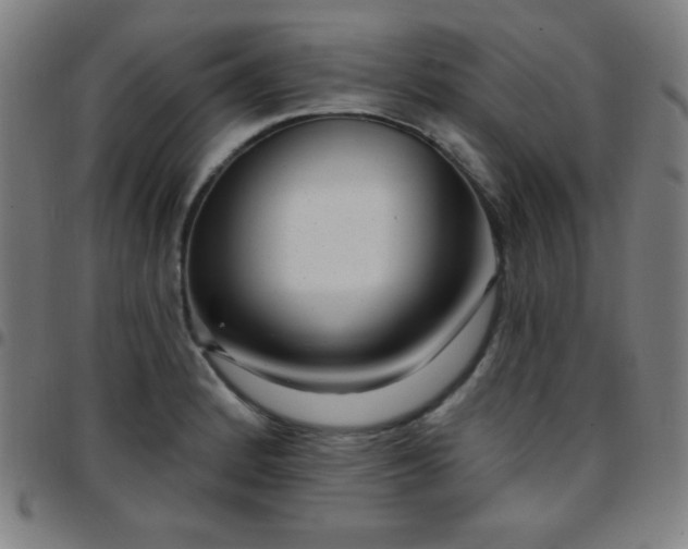 X0000097651184200803071502