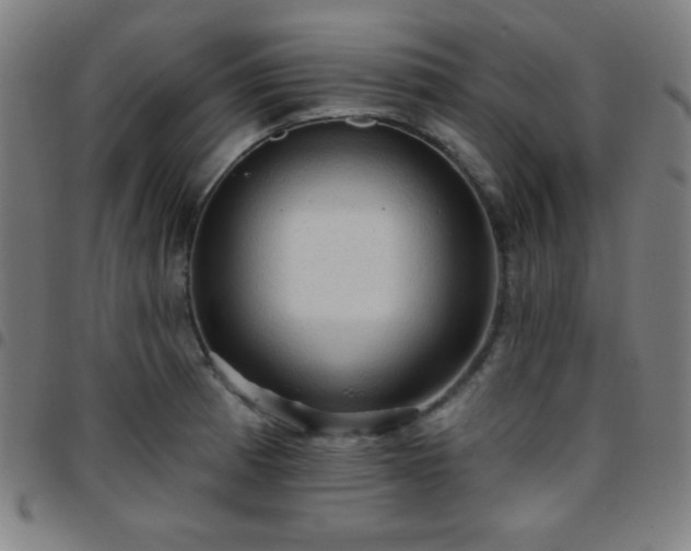 X0000097651185200803071502