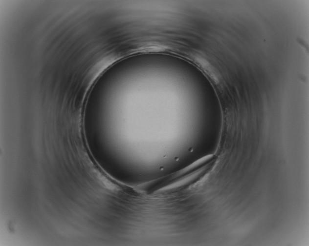 X0000097651186200803071502