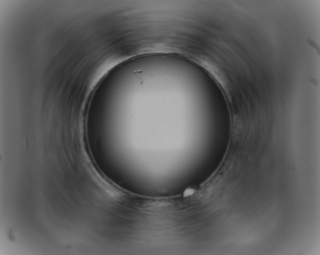 X0000097651187200803071502