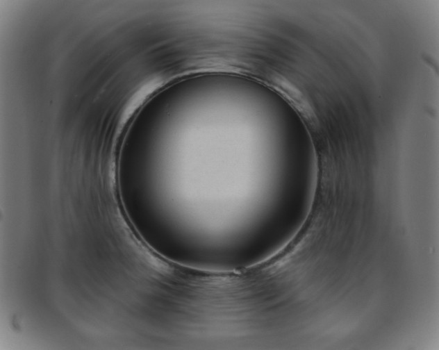 X0000097651188200803071502