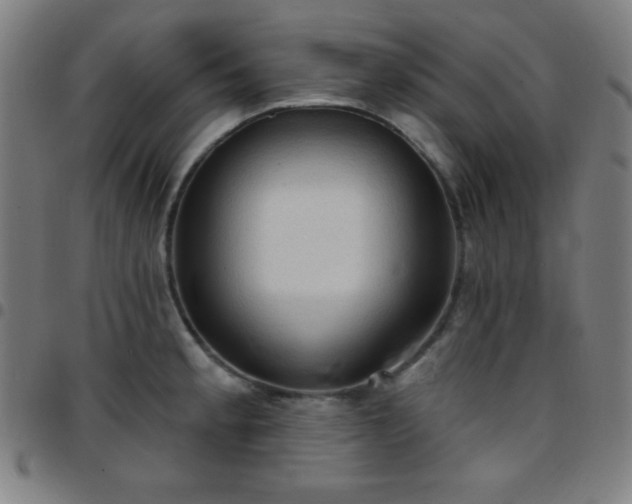 X0000097651189200803071502