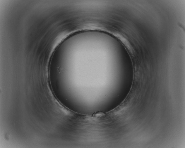 X0000097651191200803071502