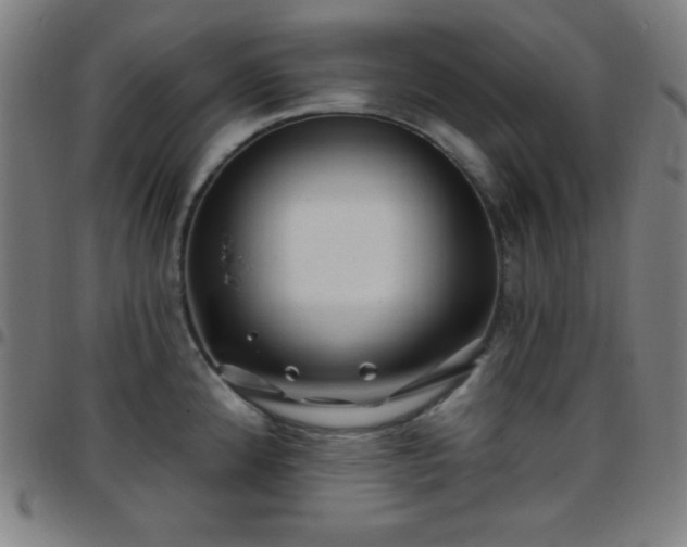 X0000097651192200803071502