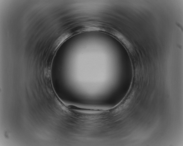 X0000097651193200803071502