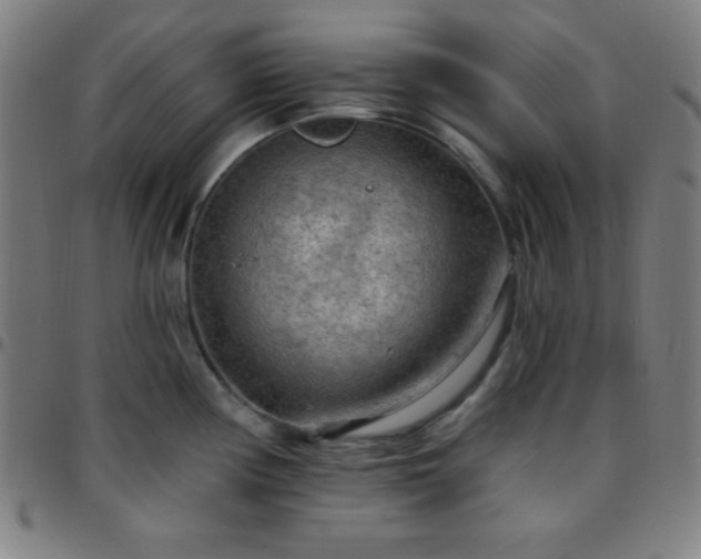 X0000097651194200803071502