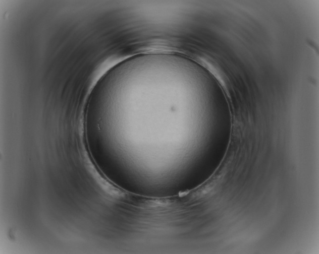 X0000097651195200803071502