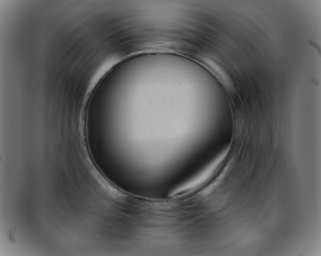 X0000097651196200803071502