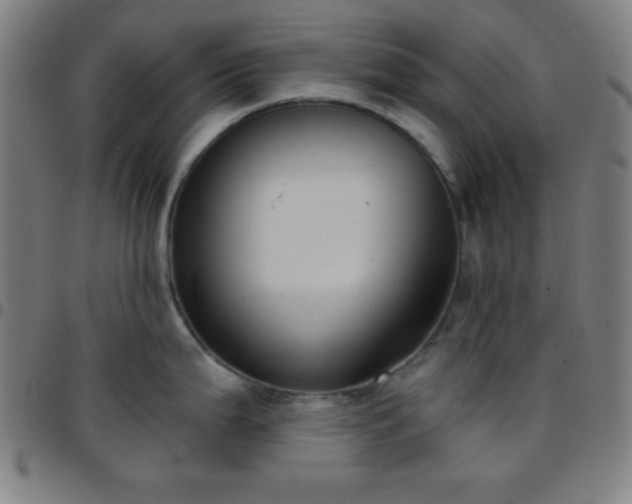 X0000097651199200803071502