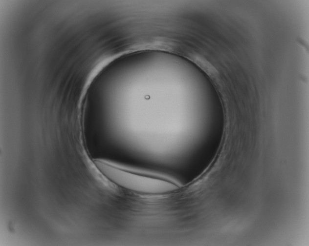 X0000097651200200803071502