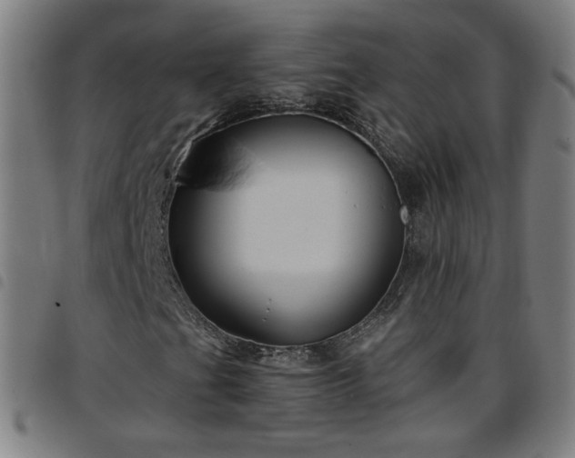 X0000097651201200803071501