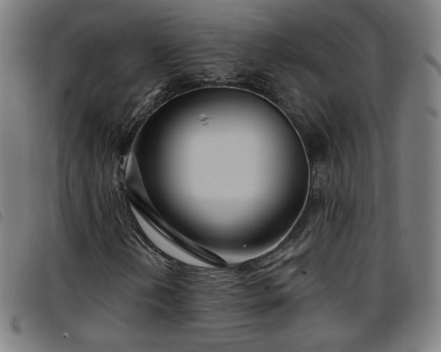 X0000097651202200803071501