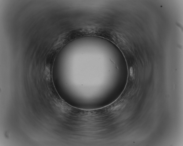 X0000097651203200803071501