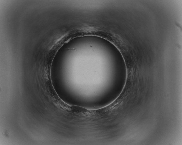 X0000097651205200803071501