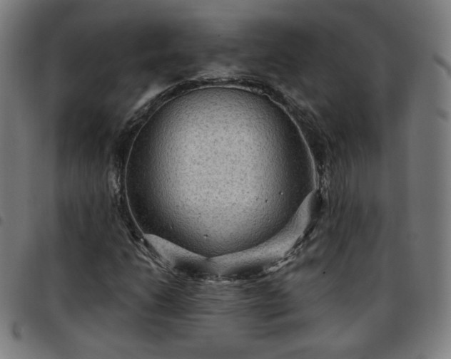 X0000097651206200803071501