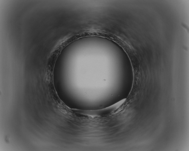 X0000097651207200803071501