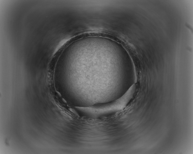 X0000097651208200803071501